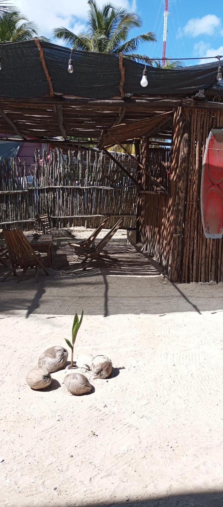 El Regalo El Cuyo Exterior foto